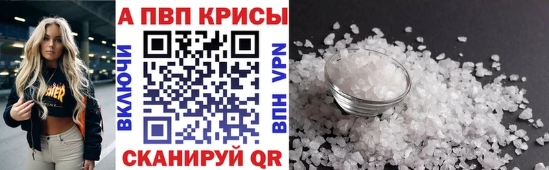 APVP СК Кингисепп
